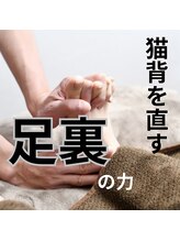 はたらくからだ研究所/猫背を改善する足裏の力