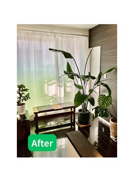 なごみや(NAGOMIYA)/模様替え（後）