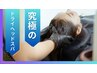 【不眠/自律神経/疲れ改善】究極のドライヘッドスパ