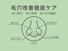 【毛穴ごっそり洗浄】　毛穴吸引・毛穴洗浄・イオン導入・パック￥8800