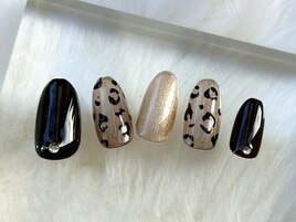 定額デザイン＜華やか＞