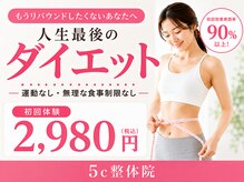 5c整体