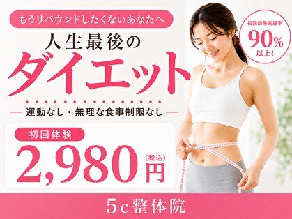 5c整体の写真
