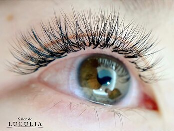 サロンドルクリア(Salon de LUCULIA)/#3Dボリュームラッシュ