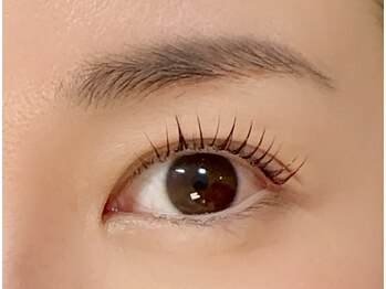 リノ リノ(Lino.Lino)/初めてのまつげパーマ◎