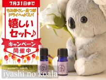 癒しのコアラ 一条 大宮店
