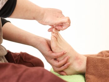 ムーラムー(Mux laea Mux)/