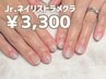【Jr.ネイリスト】【ハンド】【口コミお直し不可】ラメグラデーション￥3,300