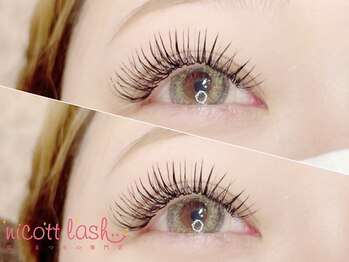 ニコットラッシュ 天王寺店(nicott lash)/まつげパーマ［天王寺・マツパ］