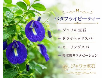 ジャワの宝石/美容青花ハーブ  
