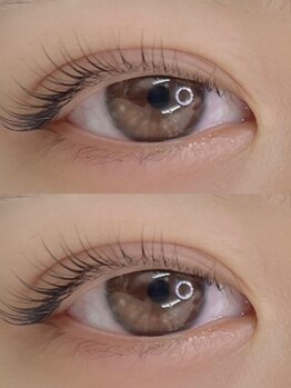 モアナアイラッシュ バイ ヘッドライト 綱島店(Moana eyelash by HEADLIGHT)/ラッシュリフト上
