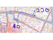 ゴテかわ(GOTE KAWA)/道あんない