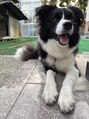 鈴木接骨院 泉区将監院 愛犬のモナちゃんです!【泉中央/肩こり/腰痛】