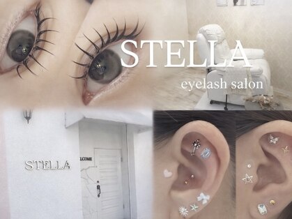ステラ(STELLA)の写真