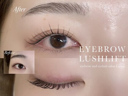 ルノア(Lunoa)の写真