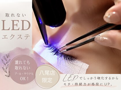 ヘイリーブロウ 近鉄八尾店の写真
