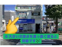 鷺沼駅前整骨院 鍼灸マッサージ院/アクセス6