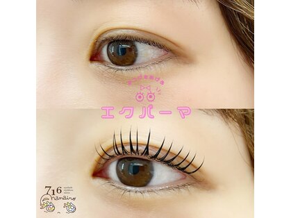 ナナイロ(716)の写真