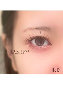 イリス 博多店(IRIS.)/led flat lash