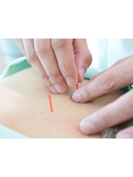 初めての方にオススメ