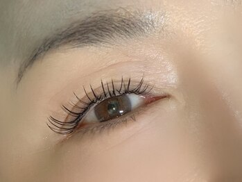 アンディ(ANDY)/フラットラッシュ120