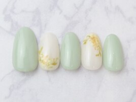 フラワー/春/ミモザ/グリーン