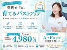 美人バスト 錦糸町店