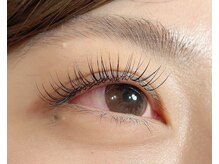 ロンド(Rond)/最高級セーブル120本