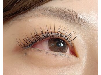 ロンド(Rond)/最高級セーブル120本