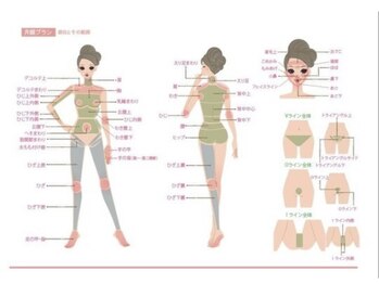 ラヴィリス(Raviliss)/女性施術部位