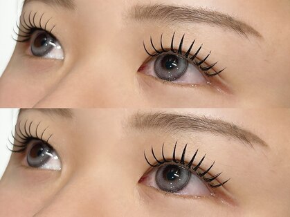 アトレ(attrait)の写真