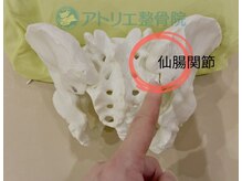 アトリエ整骨院/体の歪みの原因「仙腸関節」