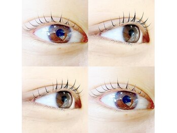 リアン(Lian)/立ち上げカール！