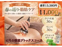 めいてるの雰囲気(4月限定♪春の巡り徹底脂肪ケア【徹底デトックスコース】)