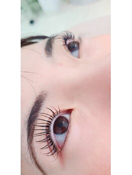 コア(Koa)/エクステパーマ