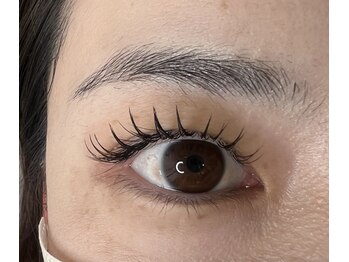 ソラナ(solana)/フラットマットラッシュ140本