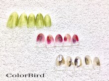 カラーバード(Color Bird)
