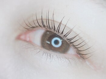 ニコル(nicolu)/ラッシュラフト