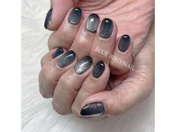 ブルーバードネイル(Blue bird nail)/マグネットネイル