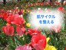【肌サイクルを整える  美容鍼 】鍼40分  11000円→8800円
