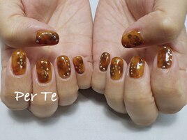 ベッコウ/シンプル/持込/星/浦和