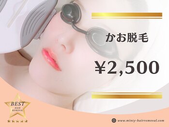 ミンティー 枚方FC店/《都度払い》かお脱毛