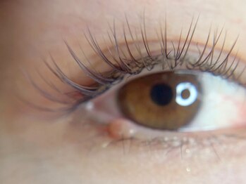 ジーニー(Genie)の写真/【大人女性の抜け感eye】カラーエクステで透明感UP♪派手すぎないブラウン系で魅せる洗練された目元へ