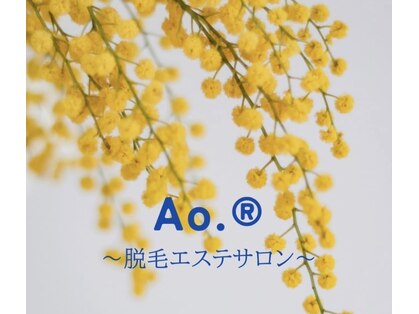 アオドットアール(Ao.r)の写真