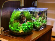 エスペルト/～店内　内観～