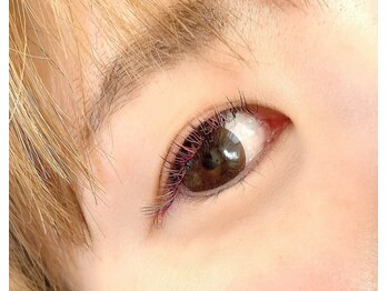 アンの家/夜桜×ブラック＋パープル＝？