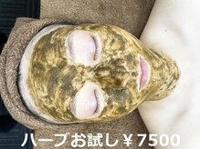ハクミー(haku me)の雰囲気（＼安定の人気／剥かないリバイブハーブピーリング♪）