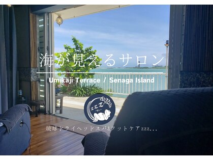 スゥー(zzz...)の写真