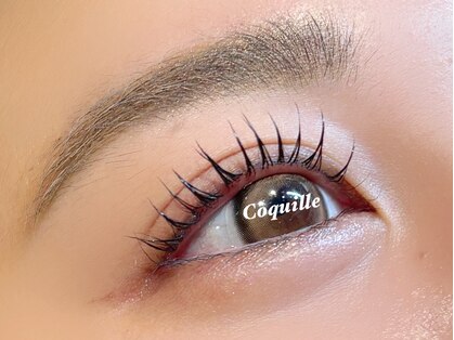 コキーユ(Coquille)の写真