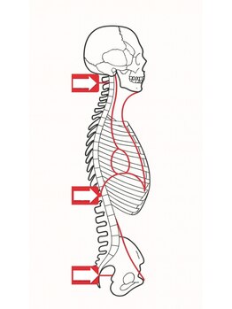 ミエリフル(Miel et Fleurs)/全身のめぐりを改善